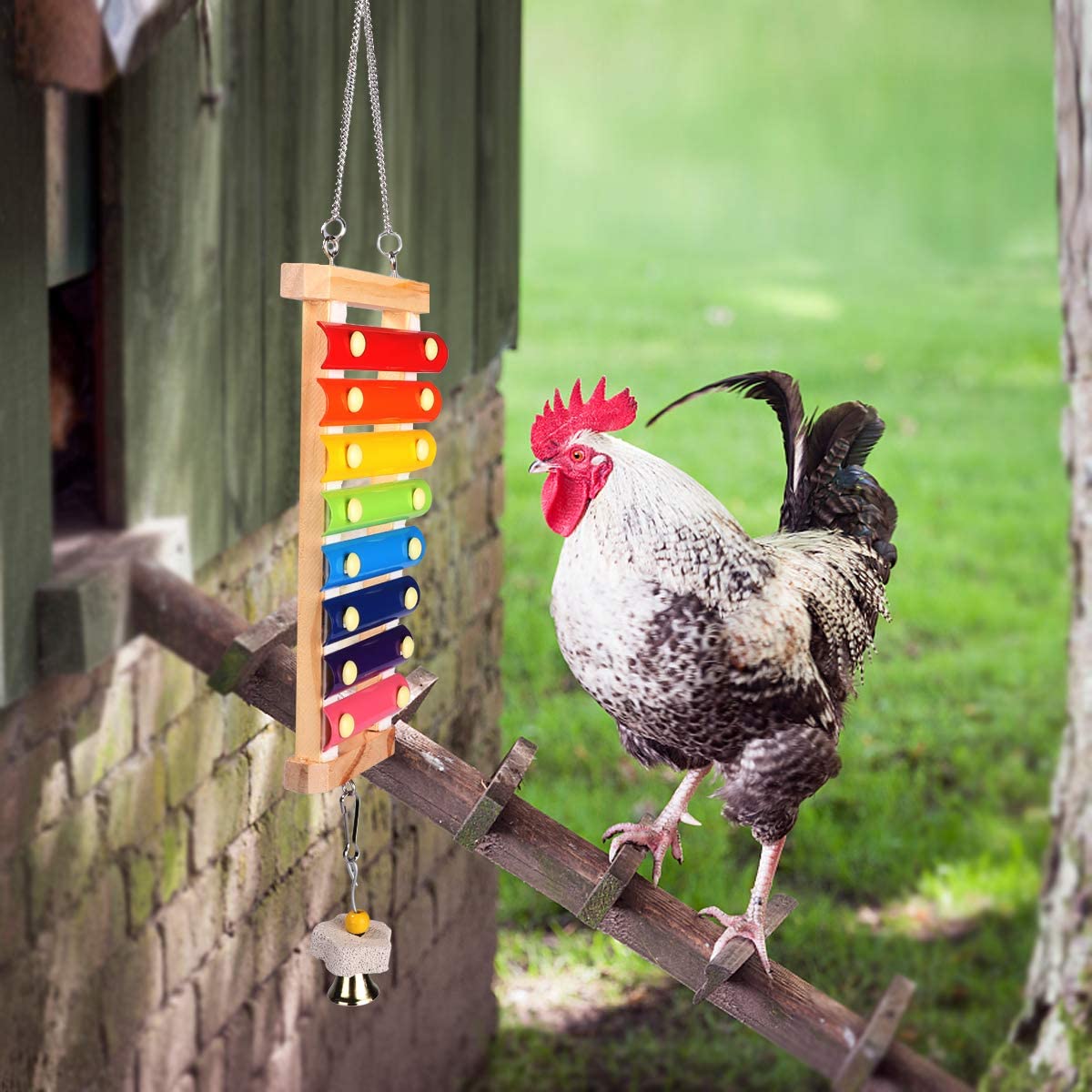 diy chicken toys