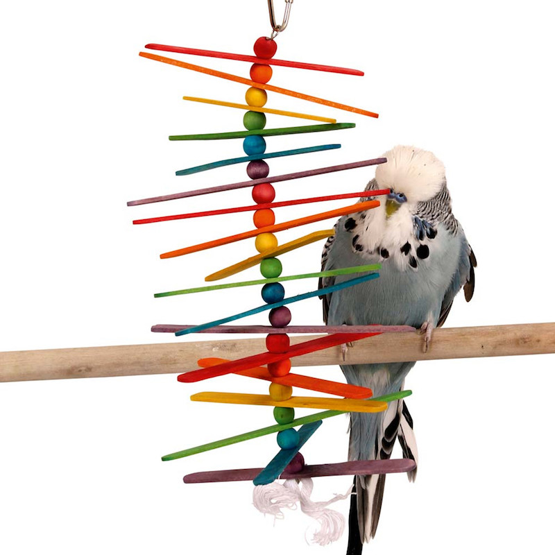 DIY parrot toys