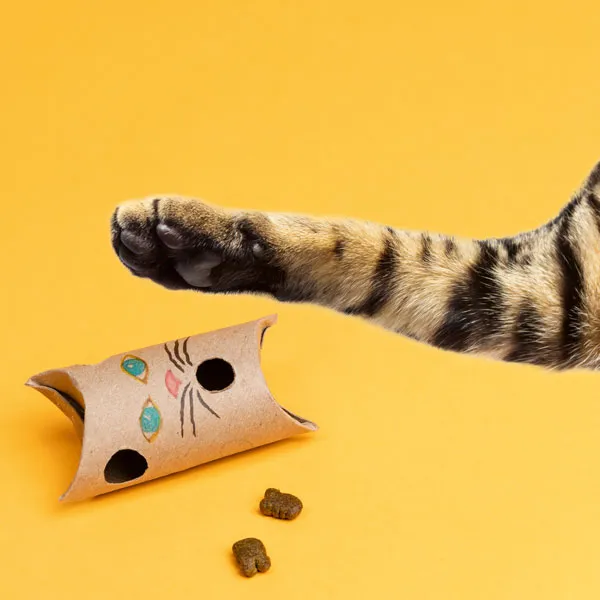 diy catnip toys