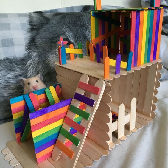 diy hamster toys